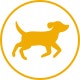 Dog Medium Icon