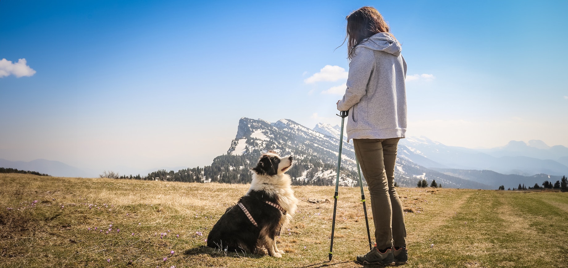 pies siedzi przed kobietą trzymającą kijki do nordic walking na tle gór