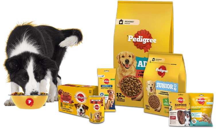 lista produktow hero